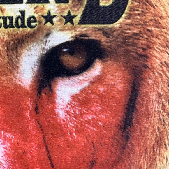 HUSTLER - Picture 6 of 7